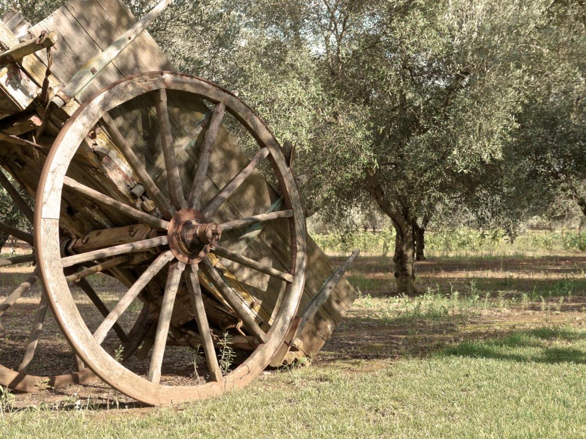 Tenuta Masseria & Spa Chicco Rizzo Sternatia المظهر الخارجي الصورة