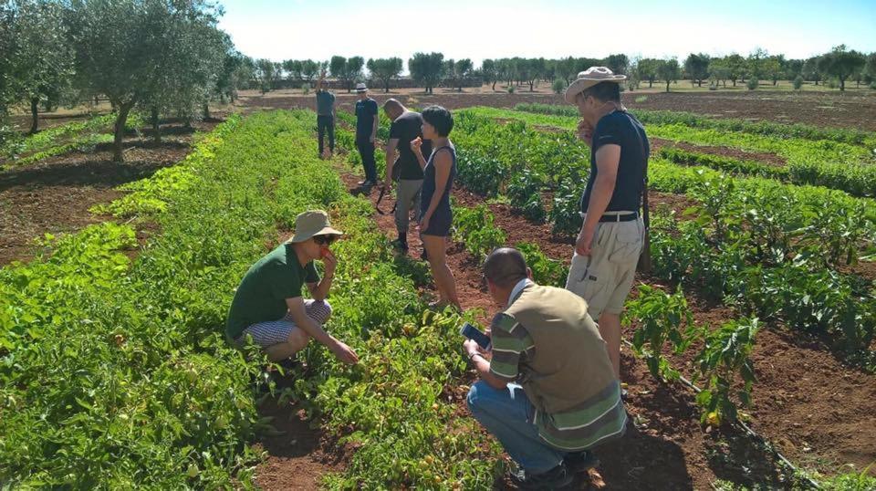 Tenuta Masseria & Spa Chicco Rizzo Sternatia المظهر الخارجي الصورة